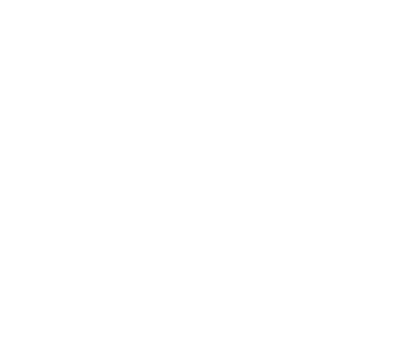 Kundenlogo Paulick